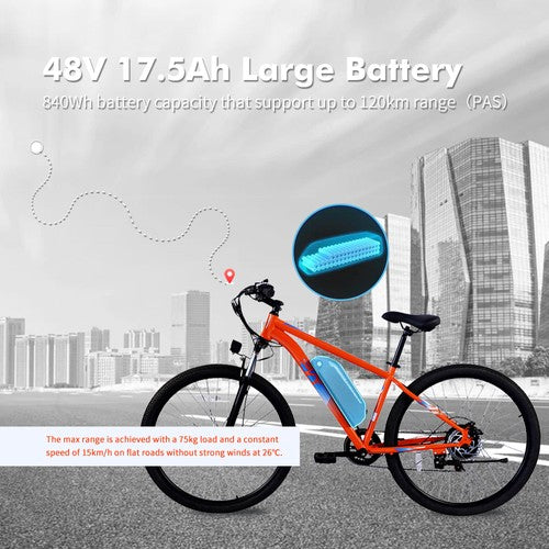 PVY M29 Electric Bike 250W Motor 48V 17.5Ah