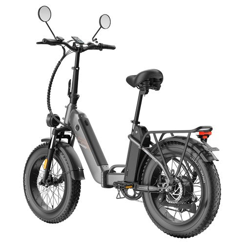 Fafrees FF20 Polar Electric Bike, 500W Motor, 48V 24Ah