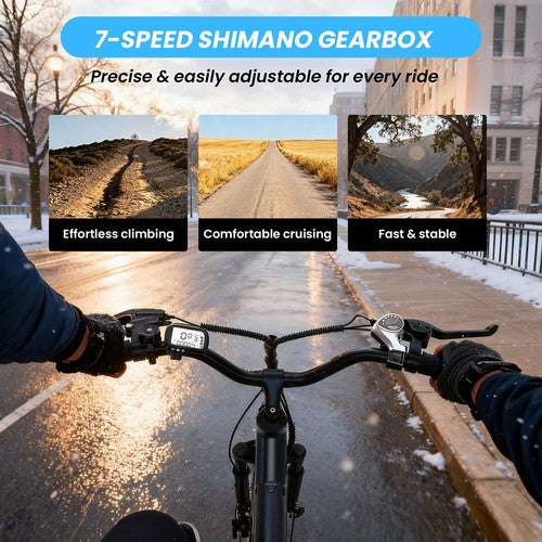 ESKUTE C100 PLUS Electric Bike, 250W Motor, 36V 13Ah