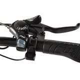 KAISDA K201 3.0 Electric Bike 36V/20.8Ah