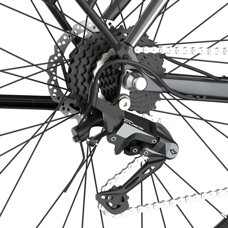 Fafrees F700W Electric Bike 100Km