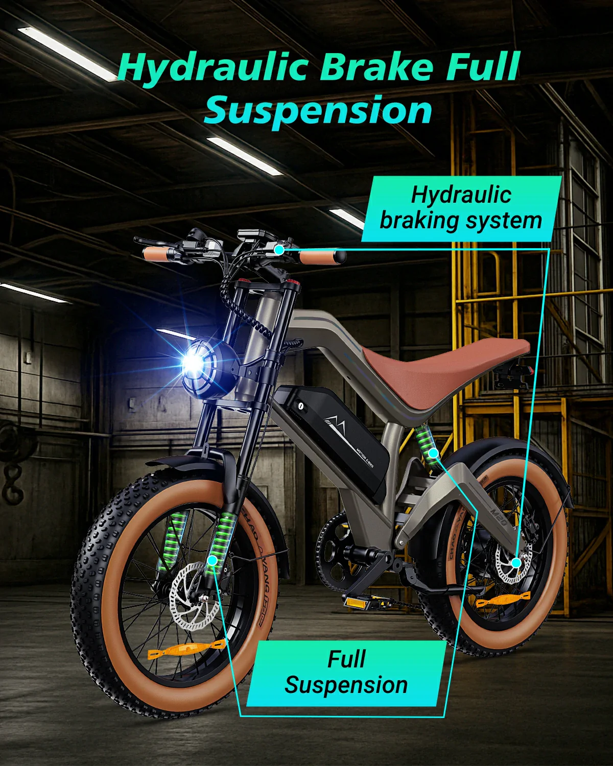DYU M20 All-Terrain Long-Range Electric Bike