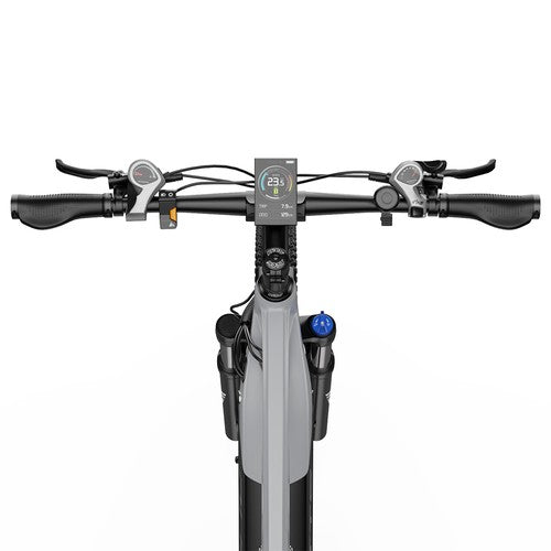 DUOTTS E29 Electric Bike, 250W Motor, 48V 13.5Ah Battery, 27.5 inch