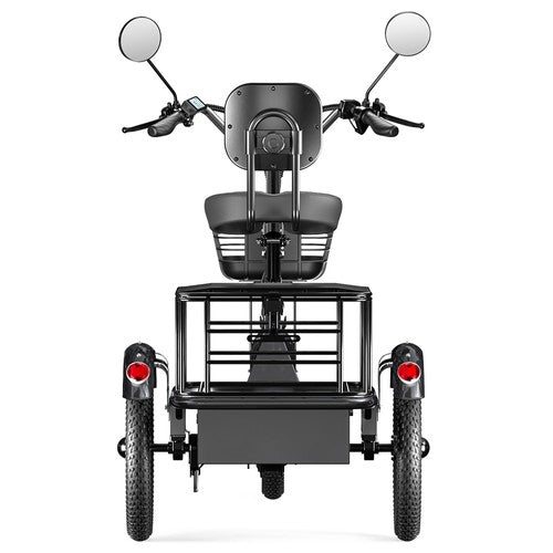 Cysum T1 Pro Electric Tricycle, 250W Motor, 48V 22Ah
