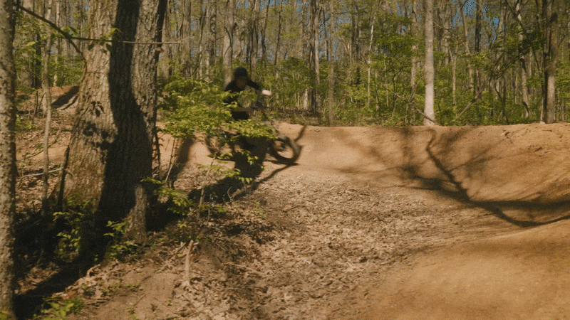 PVY Z20 Plus 1000W Folding Electric Bike 20*4.0 Fat Tire