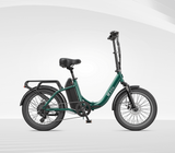 DYU C9 Long Distance Electric Bike