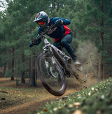 DUOTTS E29 Electric Bike, 250W Motor, 48V 13.5Ah Battery, 27.5 inch