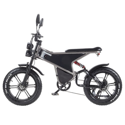 RANDRIDE DM711 Electric Bike 1000W*2 Motor, 48V 20Ah
