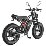 Fafrees F20 Ultra Electric Bike (Brake Upgraded Version), 750W Motor, 48V 25Ah
