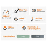 Foride Roamer 1 Step-thru Electric Bike 250W Motor 36V 13Ah