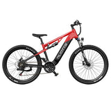 DUOTTS E29 Electric Bike, 250W Motor, 48V 13.5Ah Battery, 27.5 inch