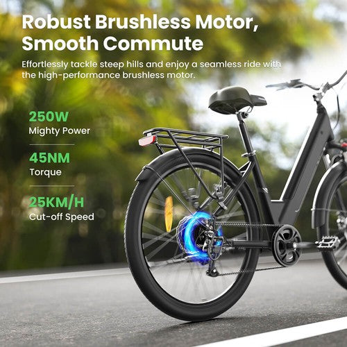 Touroll J1 Pro Electric Bike, 250W Motor, 36V 15.6Ah