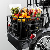 Cysum T1 Pro Electric Tricycle, 250W Motor, 48V 22Ah