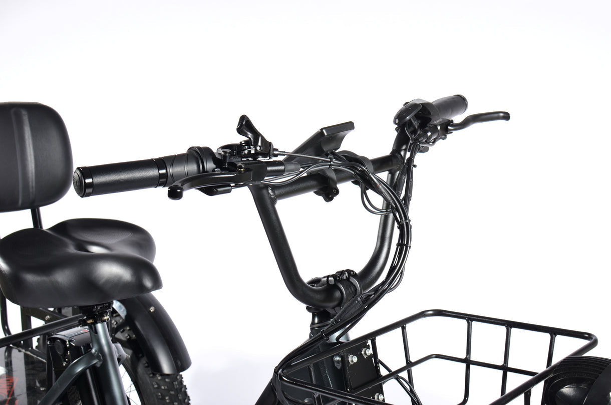 PULUMA SL001 Electric Tricycle 27Ah 500W *2x