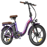 Fafrees F20+ Pro Folding Electric Bike 22.5Ah