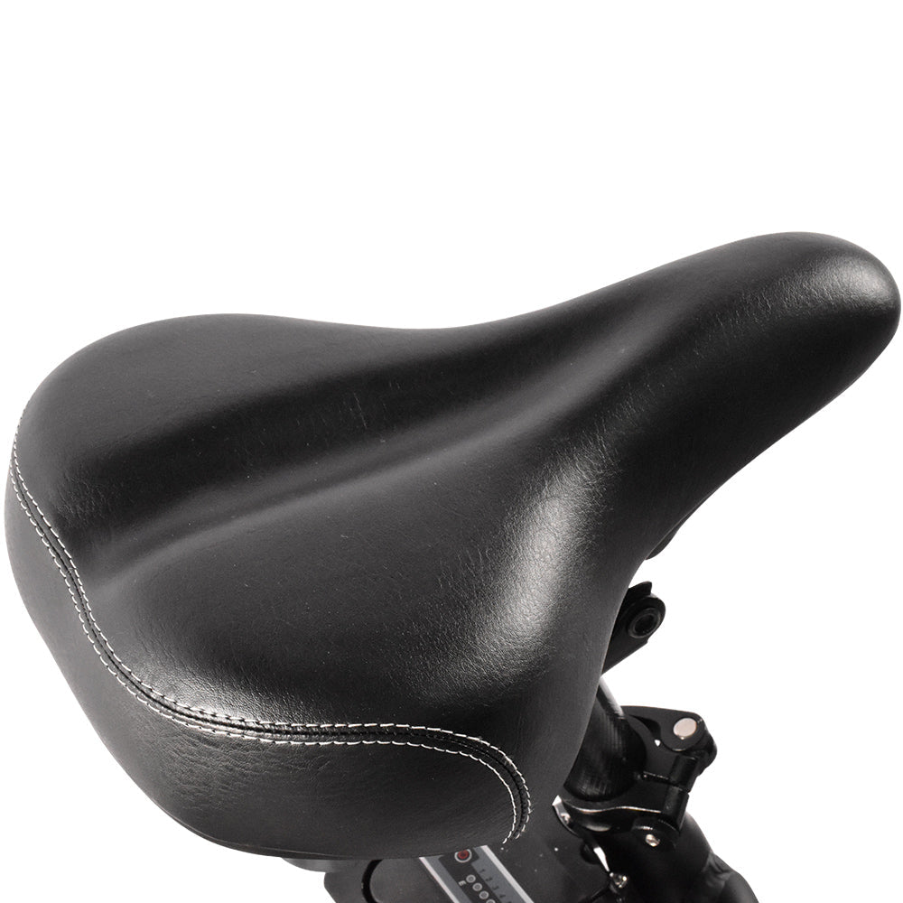 KAISDA K201 3.0 Electric Bike 36V/20.8Ah