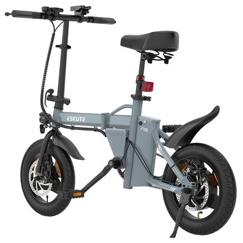 ESKUTE F100 Folding Electric Bike, 250W Motor, 36V 9Ah