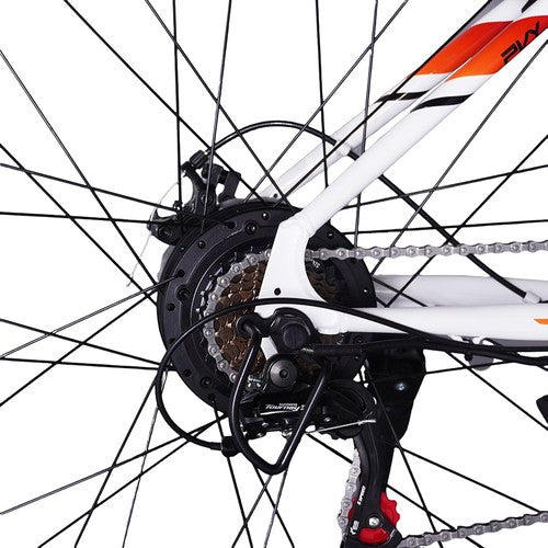 PVY M29 Electric Bike 250W Motor 48V 17.5Ah