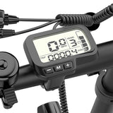 ESKUTE D100 Electric Bike 36V13Ah