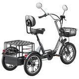 Cysum T1 Pro Electric Tricycle, 250W Motor, 48V 22Ah