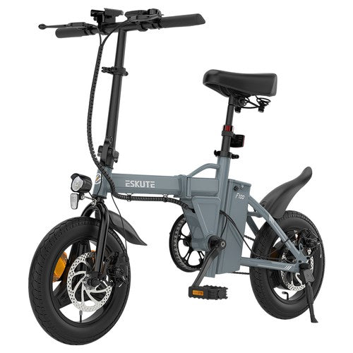 ESKUTE F100 Folding Electric Bike, 250W Motor, 36V 9Ah