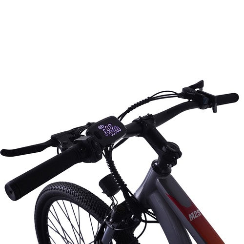 PVY M29 Electric Bike 250W Motor 48V 17.5Ah