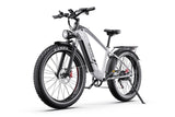 DUOTTS F26Lite Electric Bike