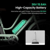 Touroll B2 Electric Bike 250W Motor 36V 15.6Ah