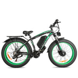 Baolujie DP2602 electric bike 2000W 20Ah