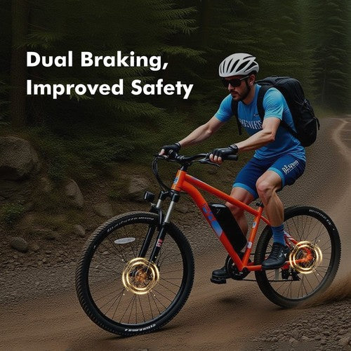 PVY M29 Electric Bike 250W Motor 48V 17.5Ah