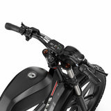 DUOTTS F20 Electric Bike 27Ah 750W