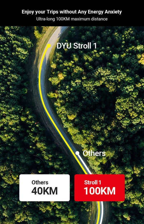 DYU Stroll 1 Electric Bike 250W