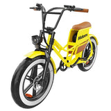 Hidoes C8 Electric Bike, 700W, 48V 17Ah