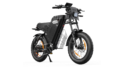 VARUN X-PLORER RAPTOR electric bike 48V 20.8A