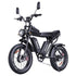 Ridstar Q20 Pro Off-road Electric Bike 1000W*2 Motor 52V 20AH Dual Battery