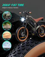 DYU M20 All-Terrain Long-Range Electric Bike