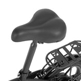 DYU A1F Pro Folding Electric Bike, 250W Motor, 36V 7.5Ah