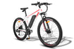 FAFREES F28 MT Electric Bike