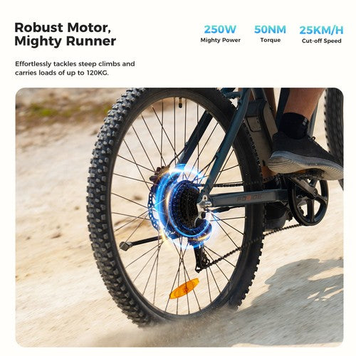 Foride Xtremer 3 Electric Bike 250W 48V 12Ah