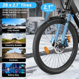 ESKUTE C100 PLUS Electric Bike, 250W Motor, 36V 13Ah