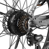 DYU Stroll 1 Electric Bike 250W