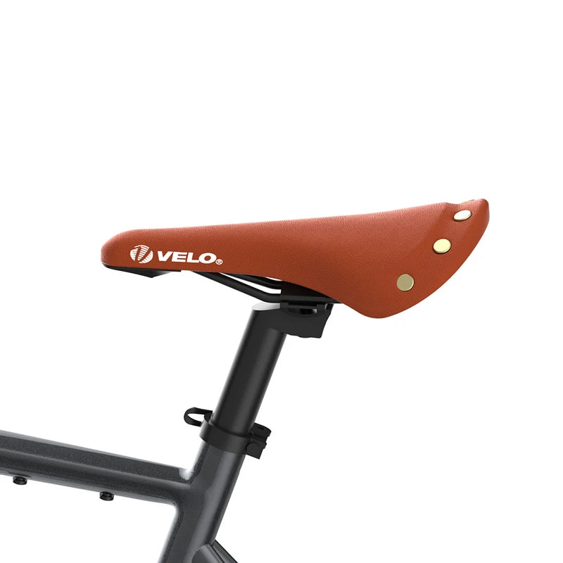 Fafrees F700W Electric Bike 100Km