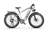 DUOTTS F26Lite Electric Bike