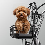 Cysum T1 Pro Electric Tricycle, 250W Motor, 48V 22Ah