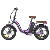 Fafrees F20+ Pro Folding Electric Bike 22.5Ah