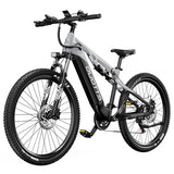 DUOTTS E29 Electric Bike, 250W Motor, 48V 13.5Ah Battery, 27.5 inch