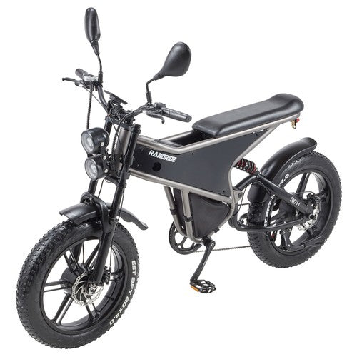 RANDRIDE DM711 Electric Bike 1000W*2 Motor, 48V 20Ah