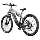 DUOTTS E29 Electric Bike, 250W Motor, 48V 13.5Ah Battery, 27.5 inch