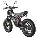 Fafrees F20 Ultra Electric Bike (Brake Upgraded Version), 750W Motor, 48V 25Ah