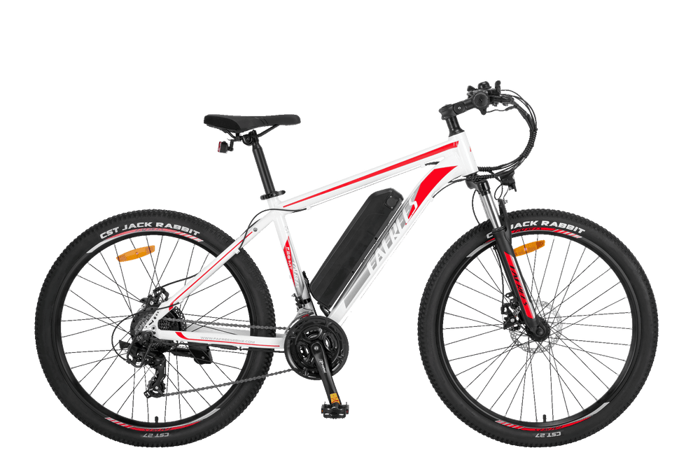 FAFREES F28 MT Electric Bike